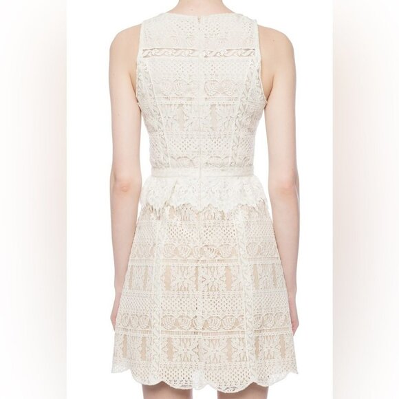NWT Allsaints Melia Lace sleeveless mini Dress Size 6 in Oyster White - Picture 12 of 16